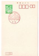 53312 - Japan - 1981 - ¥30 GA-Kte. M. SoStpl. MONBETSU - 19. TREIBEIS-FESTIVAL (Drachen-Motiv) - Non Classés