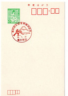 53317 - Japan - 1981 - ¥30 GA-Kte. M. SoStpl. FUJIYOSHIDA - 30. NATIONALES SPORTFEST DER GYMNASIEN - Hockey (su Ghiaccio)