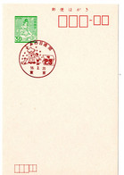 53329 -  Japan - 1981 - ¥30 GA-Kte. M. SoStpl. TOKYO - TAG DES BRIEFESCHREIBENS - Posta