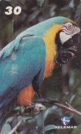 BRAZIL(Telemar) - Parrot, Tirage 25000, 02/00, Used - Pappagalli