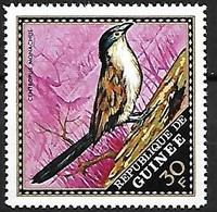 Guinea (Guinée) - MNH ** 1971 :   Blue-headed Coucal  -  Centropus Monachus - Cuco, Cuclillos