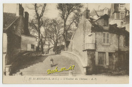 Delcampe - {21882} 41 Loir Et Cher Saint Aignan , L' Escalier Du Château ; Animée. " En Baisse " - Saint Aignan