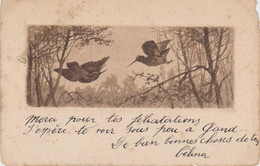 Jagd Hunting  Chasse  Waldschnepfe  Woodcock  Becasse Snipe Signe ?? Bottom Right  Oiseaux  Old Cpa.1903 - Chasse