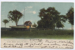 United States, SCENE ALONG THE BEACH,SAVIN ROCK, CONN 1908 - New Haven