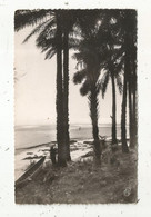 Cp , GUINEE FRANCAISE , Environs De CONAKRY , Effet De Soleil Sur La Plage , Voyagée - Guinée