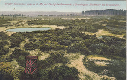 A3103) Großer KRANICHSEE Bei CARLSFELD - EIBENSTOCK - Gewaltigstes Hochmoor Erzgebirge - Eibenstock