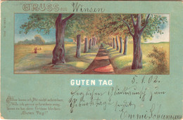 WINSEN Luhe 1902 " Gruß Aus Winsen " Frankierter Orts-Bedarf Germania 3 Pfg - Winsen