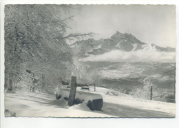 CPSM Suisse Vaux VILLARS Sur OLLON - Les Dents Du Midi - Ollon