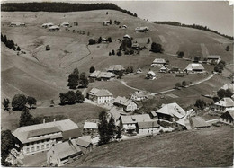 R 590  TODTNAU  MUGGENBRUNN GASTHOF GRUNER BAUM - Todtnau