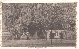 Gutshaus MÜGGENHALL Pommern Nahe Tribsees Franzburg Autograf Adel BahnPost Stempel  5.1.1931 STARGARD - DABER - Grimmen