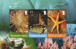 South Georgia And The South Sandwich Islands 2013, Joint Issue - Marine Life, MNH S/S - Südgeorgien