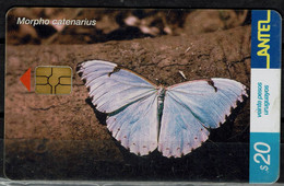 URUGUAY 2002 PHONECARD BUTTERFLIES USED VF!! - Farfalle