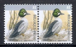 Buzin  2020 * Nr 4925 * BRILDUIKER - GARROT A L'OEIL D'OR * Postfris Xx - 1985-.. Birds (Buzin)