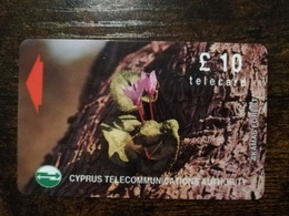 CYPRUS  PHONECARD 10 POUND   AKAMAS FOREST/FLOWER     NO 18CYPC    MAGNET CARD    ** 6405 ** - Chipre