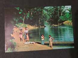 Postcard British Honduras , Temash River - Belice