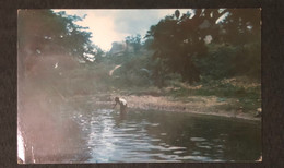 Postcard British Honduras , Mopan River And Sucotz Village - Belice