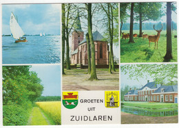Groeten Uit Zuidlaren - (Drenthe, Nederland/Holland) - L 372 - Zuidlaren