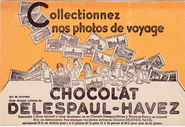 Buvard - Blotter - Chocolat DELESPAUL HAVEZ - Album Photos De Voyage - Chocolat