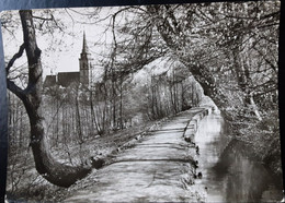 Oberursel Im Taunus - Bachweg - 120 C 162 - Oberursel