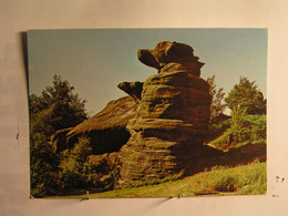 The National Trust - Brimham Rocks...... - Harrogate