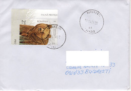 ROMANIA: BROWN BEAR, Used Stamp On Cover Circulated In Romania - Registered Shipping! - Usati