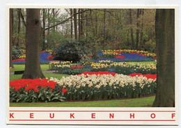 AK 012768 NETHERLANDS - Keukenhof - Lisse