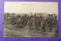Audregnies Panorama. 1913- N°15215  Edit Thiry Dour - Quievrain