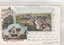 A3296) GRUSS Aus SCHÖMBERG - B. Neuenbürg - Tolle ZWEIBILD LITHO Paul Eitel U. Von Norden 5.3.1902 - Schömberg