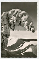 AK 012796 GERMANY - Der Oberharz Im Winter - Oberharz