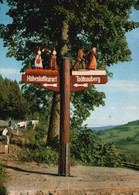 AK - Todtnauberg - Lörrach