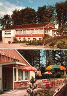 AK - Bad Meinberg , Cafe Waldpark - Bad Meinberg