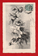 CPA  1903    ILL.C KLEIN " Roses à L'encre De Chine " - Klein, Catharina
