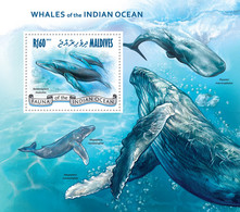 Maldives 2013 MNH - WHALES.  |  Yvert&Tellier Code: 617  |  Michel Code: 4862 / Bl.637  |  Scott Code: 3035 - Maldives (1965-...)