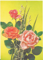Pink Roses Flower Arrangement, Soviet Russia, USSR 1991 5Kop Stamped Stationary Postcard Real Photo Unused - Russia