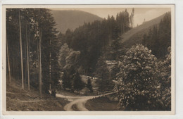 Schwarzatal, Schwarzburg, Thüringer Wald - Altenburg