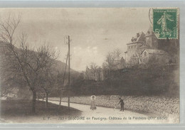 St Geoire  En Faucigny   Chateau De La Flechere - Saint-Jeoire