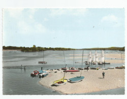 49 - Maine Et Loire - Le Thoureil  Voiliers Plage Ed Photo Spadem - Otros & Sin Clasificación