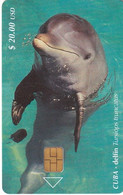 CUBA - Dolphin, Tirage 30000, 12/00, Used - Cuba