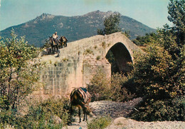 Sartène - Environs - Le Pont Génois - Corse Du Sud 2A - Sartene