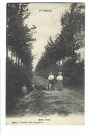 Westmalle  Eike Dreef  3307 F Hoelen,phot, Cappellen  1908 - Malle