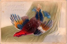 Thanksgiving Greetings With Turkey 1907 - Thanksgiving