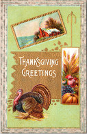 Thanksgiving Greetings With Turkey 1916 - Thanksgiving