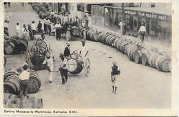 AMERIQUE- DU- NORD -  BARBADES - TONNELIERS -  CARTING MOLASSES TO WAREHOUSE - BARBADOS - B.W.I. - Barbades