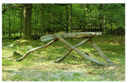 Ref 1503 - Postcard - Running Table By David Nash - Grizedale Forest Cumbria - Autres & Non Classés