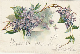 ***   ILLUSTRATEUR  *** FLEURS Par Illustrateur  Lilas Relief   --- Précureur Timbré TTB - Voor 1900