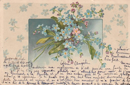 ***   ILLUSTRATEUR  *** FLEURS Par Illustrateur   Myosotis  Timbrée Récurseur  TTB - Voor 1900