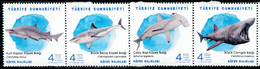 XG1621 Turkey 2021 Various Sharks 4V MNH - Neufs