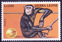 Sierra Leone 2000 MNH, Chimpanzee Monkey  Wild Animal In Circus - Chimpancés