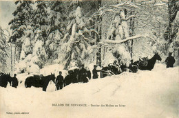 Ballon De Servance * Sentier Des Mulets En Hiver * Militaires Militaria - Autres & Non Classés