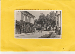 CARTE-PHOTO 84 SARRIANS AVENUE MARIUS BASTIDON - Sarrians